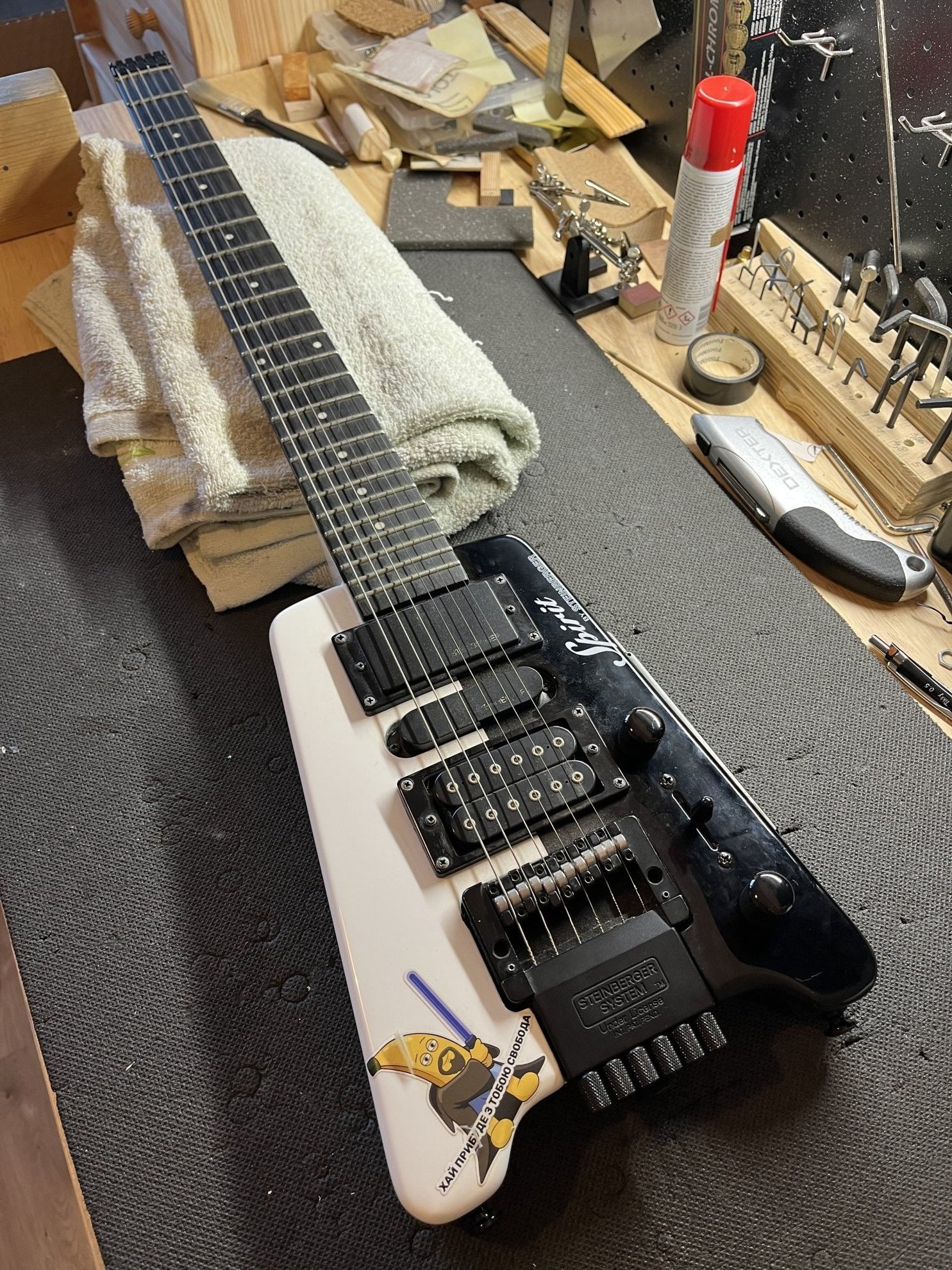 Inspectie vizuală Steinberger Spirit