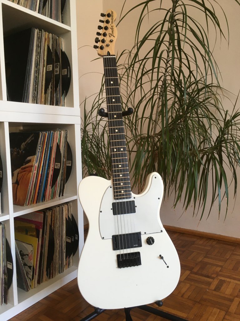 Fender Telecaster Jim Root after fret job, custom bone nut & setup