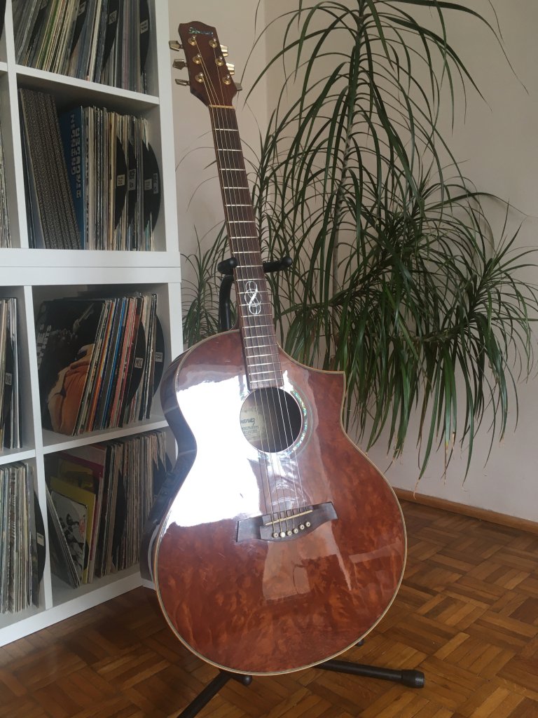 Ibanez acoustic fret job & setup