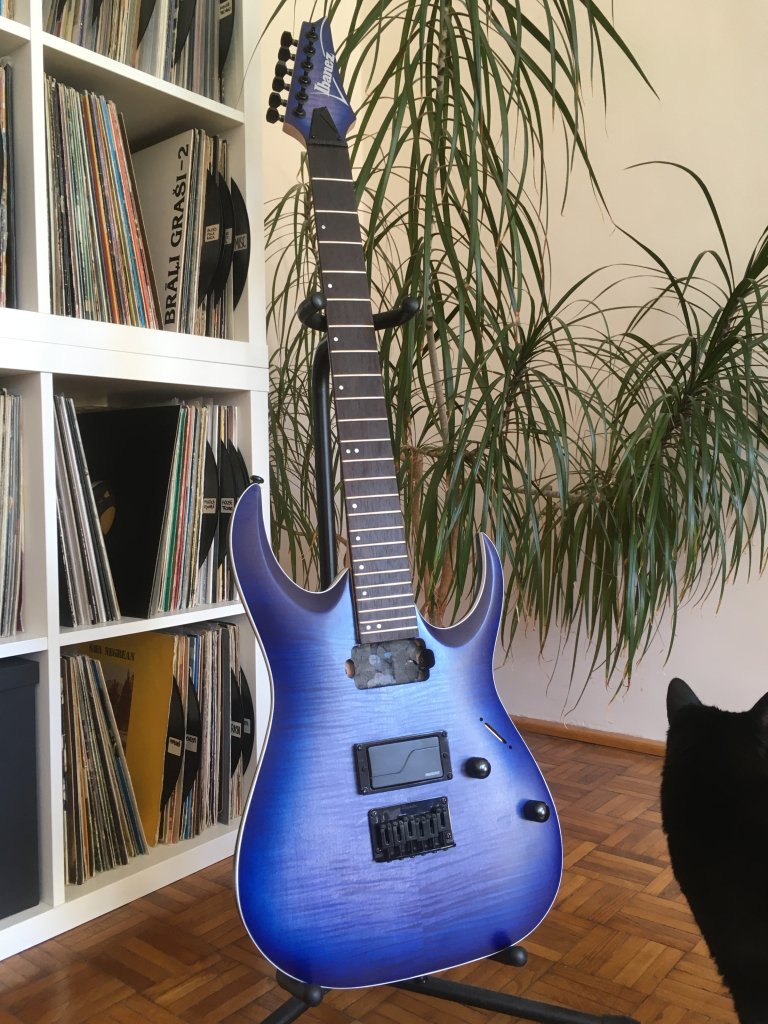 Ibanez RGA — instalare doză activă Fishman Fluence