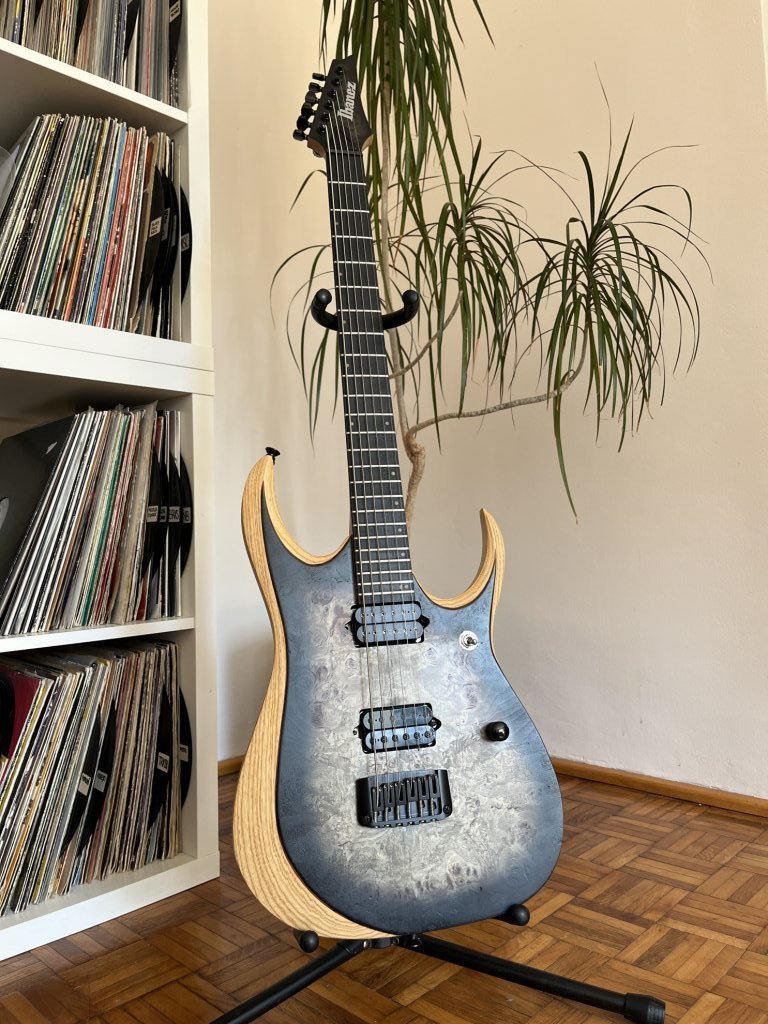 Ibanez RGD IX6 — puncte ghidaj tastieră personalizate, prăguș nou din tusq, rectificare taste & setup