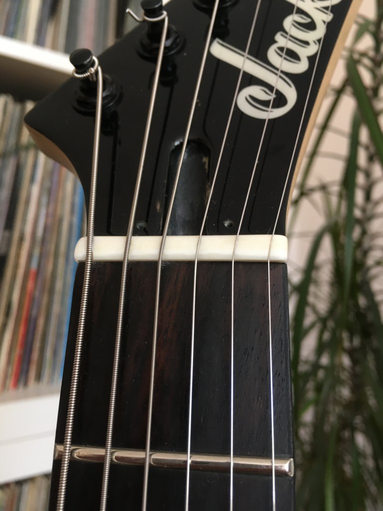 Jackson Dinky, nut personalizat din os & setup