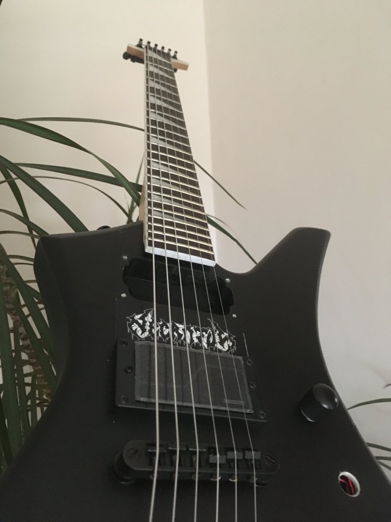 Jackson Kelly — instalare doză activă Fishman Fluence