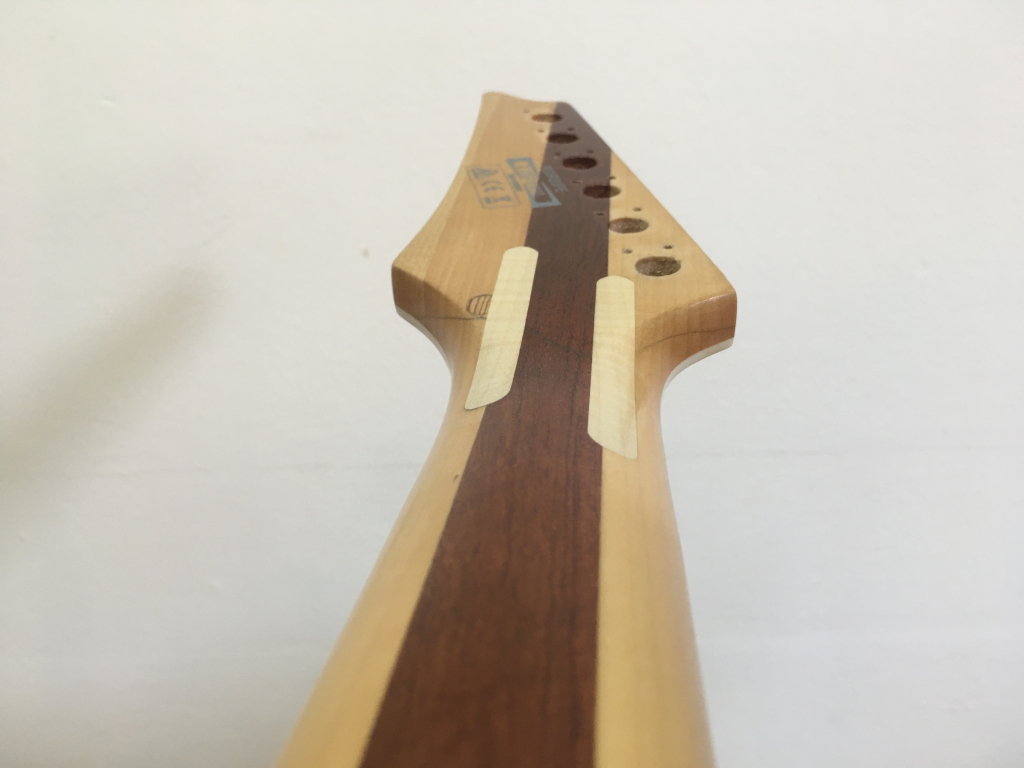 Ibanez RG Iron Label — reparație grif rupt, rectificare taste și setup