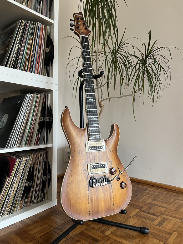 Schecter C-1 Exotic — rectificare taste & setup