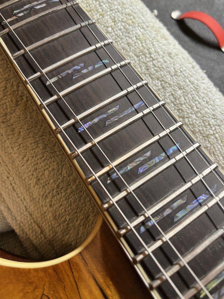 Schecter C-1 Exotic — rectificare taste & setup