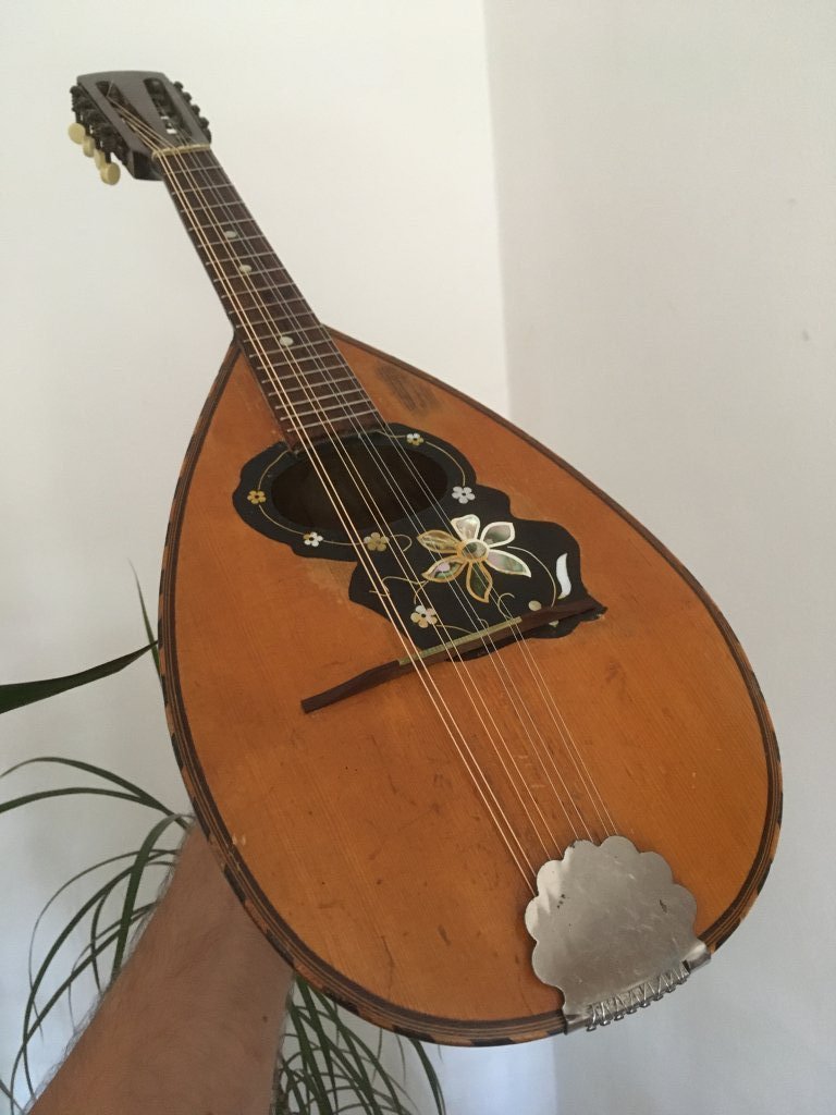 Setup mandolină